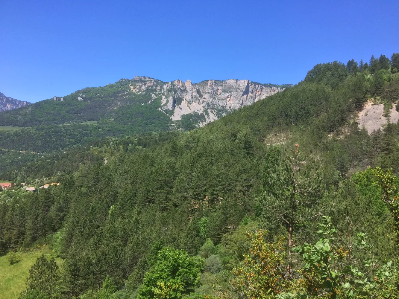 Ane en randonnée
