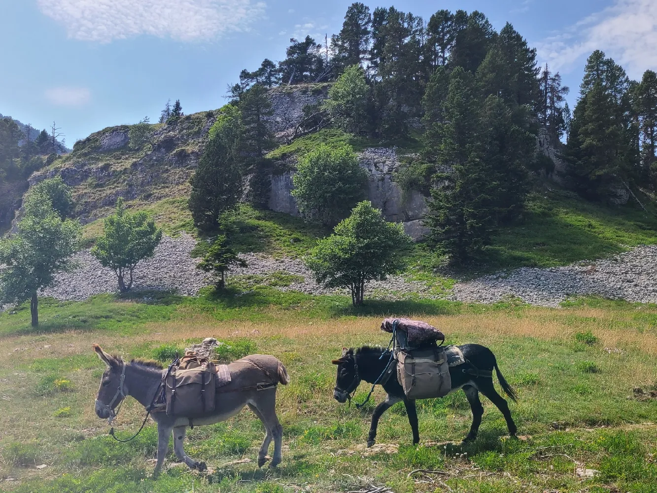 Vue sur les crêtes du Vercors